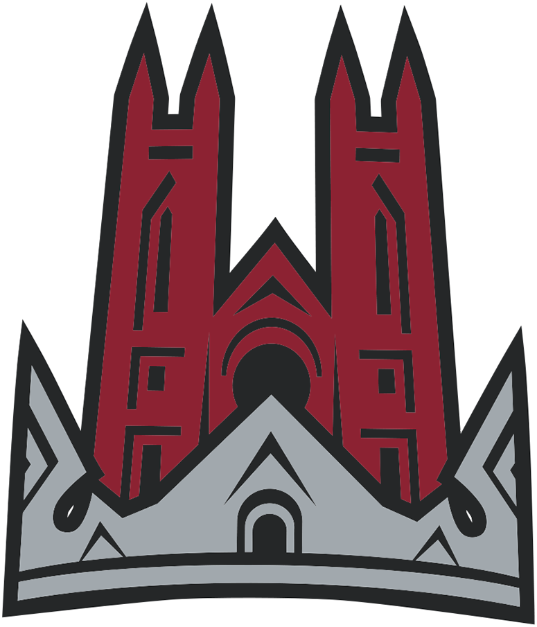 Guelph Storm 2007-2018 Alternate Logo iron on heat transfer